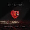 Can't Say Why - Single