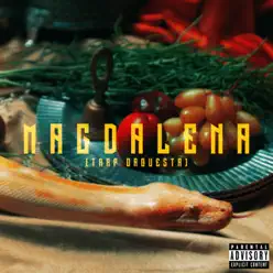 Magdalena (Trap Orquesta) - Single - Niña Dioz Magdalena (Trap Orquesta) - Single - Niña Dioz