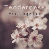 Eric Tingstad - Tenderness