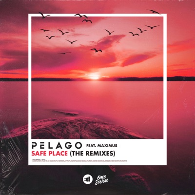 Safe Place (Remixes) [feat. Maximus] - Single