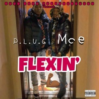 Flexin' (feat. Plug) - Single - MCE