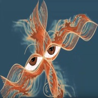 Cortos lapsos - Single - Karim