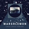 Drive Forever