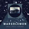 Drive Forever