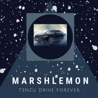 Drive Forever — T3NZU