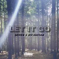Let It Go (feat. Bocanegra) - Single - Devien