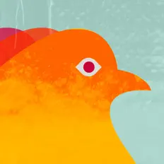 Écoutez Tuğçe Kurtiş, regardez des vidéoclips, lisez la biographie, consultez les dates de tournée et plus encore !
