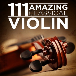 Violin Concerto in D Major, Op. 35: I. Allegro moderato