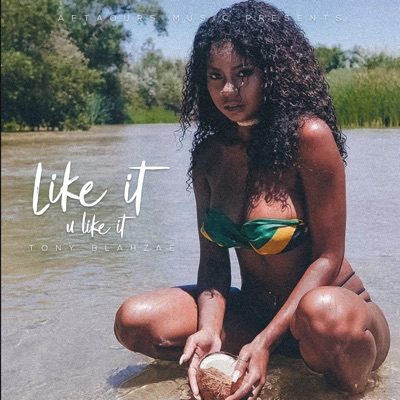 Like It, U Like It - Single