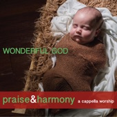 Wonderful God: Praise & Harmony (A Cappella Worship) artwork