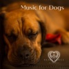 Music for Dogs, 2019