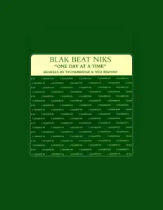 聆聽 Blak Beat Niks、觀看音樂影片、閱讀小傳、查看巡演日期等！