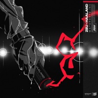 HAALAND - Single - Zeu