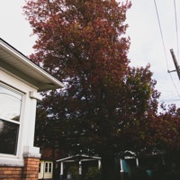 I'm Getting Really Good at Saying Goodbyes - Single - Lil Skele