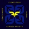 Ostinato (Morttagua Remix) - Not Demure lyrics