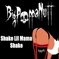 Shake Lil Mama Shake - Single - Big Poppa Nutt