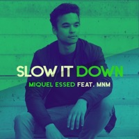 Slow It Down (feat. Mnm) - Single - Miquel Essed