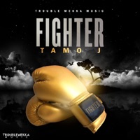 Fighter - Single - Tamo J