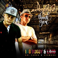 Sthuthi (feat. Livid) - Single - BigDoggy