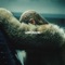 Forward (feat. James Blake) - Beyoncé lyrics