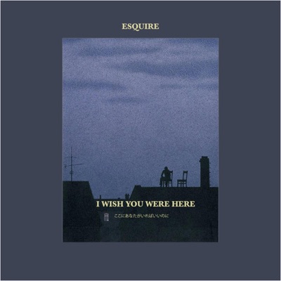 I Wish You Were Here