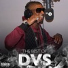 The Best of DVS