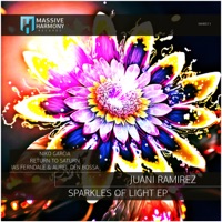 Sparkles of Light (Ias Ferndale & Aurel Den Bossa Remix) - Single - Juani Ramirez
