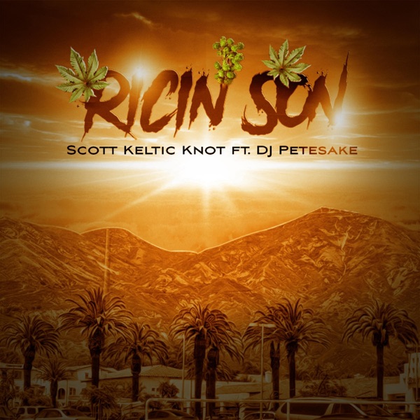Ricin Son (feat. DJ Petesake)