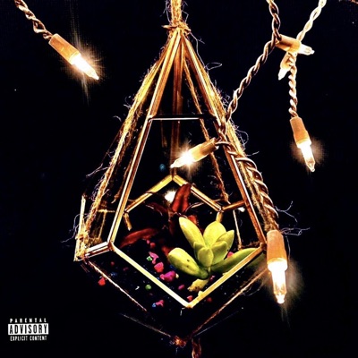 Life in Lights - EP