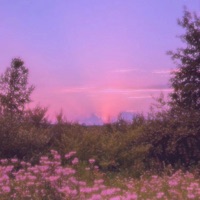 New Day - Single - ADTurnUp