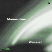 Momentum artwork