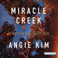 Angie Kim - Miracle Creek artwork