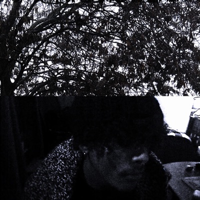 if i could (feat. lilac) - Single