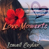 Love Moments artwork
