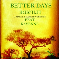 BETTER DAYS (feat. Kayenne) [FLIPSIDE REMIX] - Single - J Maloe & Tashan Venicini