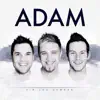 Adam - Kasteel