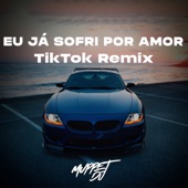 Eu Já Sofri por Amor Mas Não Sofro Mais (Remix) artwork