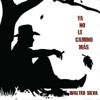 Ya No Le Camino Más - Walter Silva