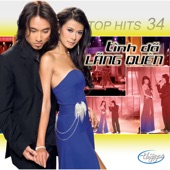 Top Hits 34 - Tình Đã Lãng Quên artwork