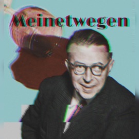MEINETWEGEN (feat. Pro Fundo) Dk.dando