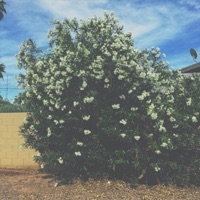 Brighter Days - Single - Jonny Lemons