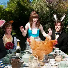 Ouve Cats and Cats and Cats, vê vídeos de música, lê a biografia, vê as datas da digressão e muito mais!