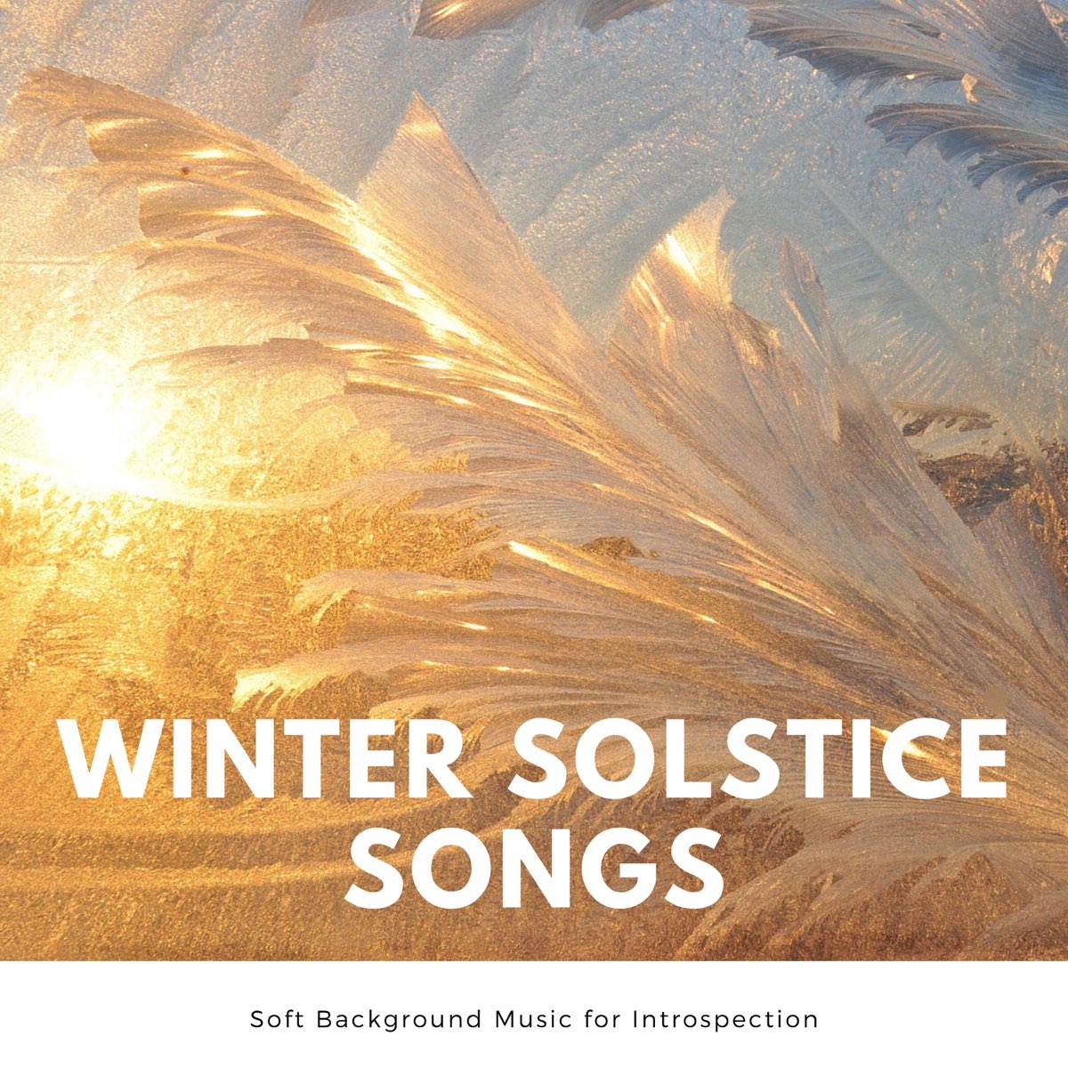 Winter Solstice Songs - Soft Background Music for Introspection by Daily  Meditation Society on Apple Music
