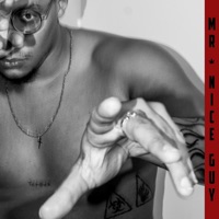 Mr. Nice Guy - Single - OD Temper