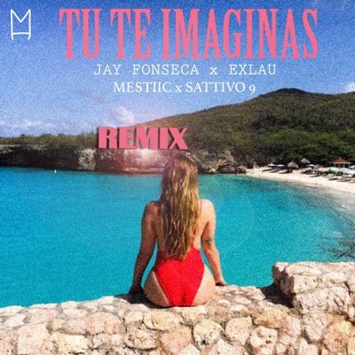 Tu Te Imaginas (feat. SATTIVO 9) [Remix] - Single
