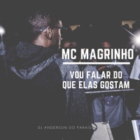 Vou Falar do Que Elas Gostam - Single - Dj Anderson do Paraiso & Mc Magrinho