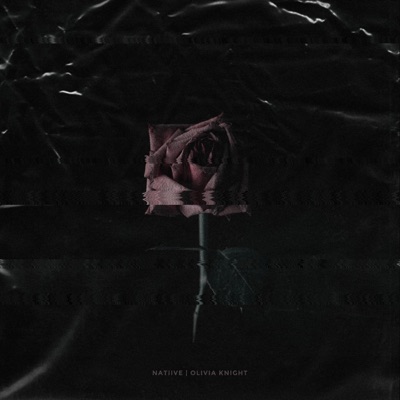 Finish What I Started (feat. Olivia Knight) - Single