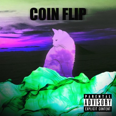 Coin Flip - Single