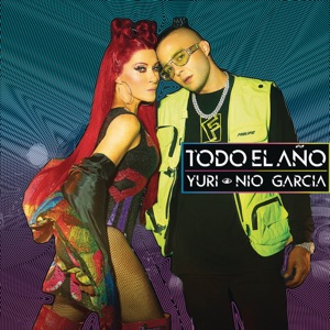 Todo el Año - Single