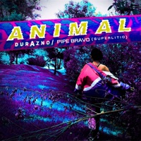 Animal - Single - Durazno, Pipe Bravo & Superlitio